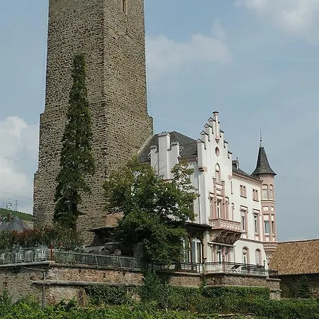 Ferienwohnung David Lorch am Rhein Extérieur photo