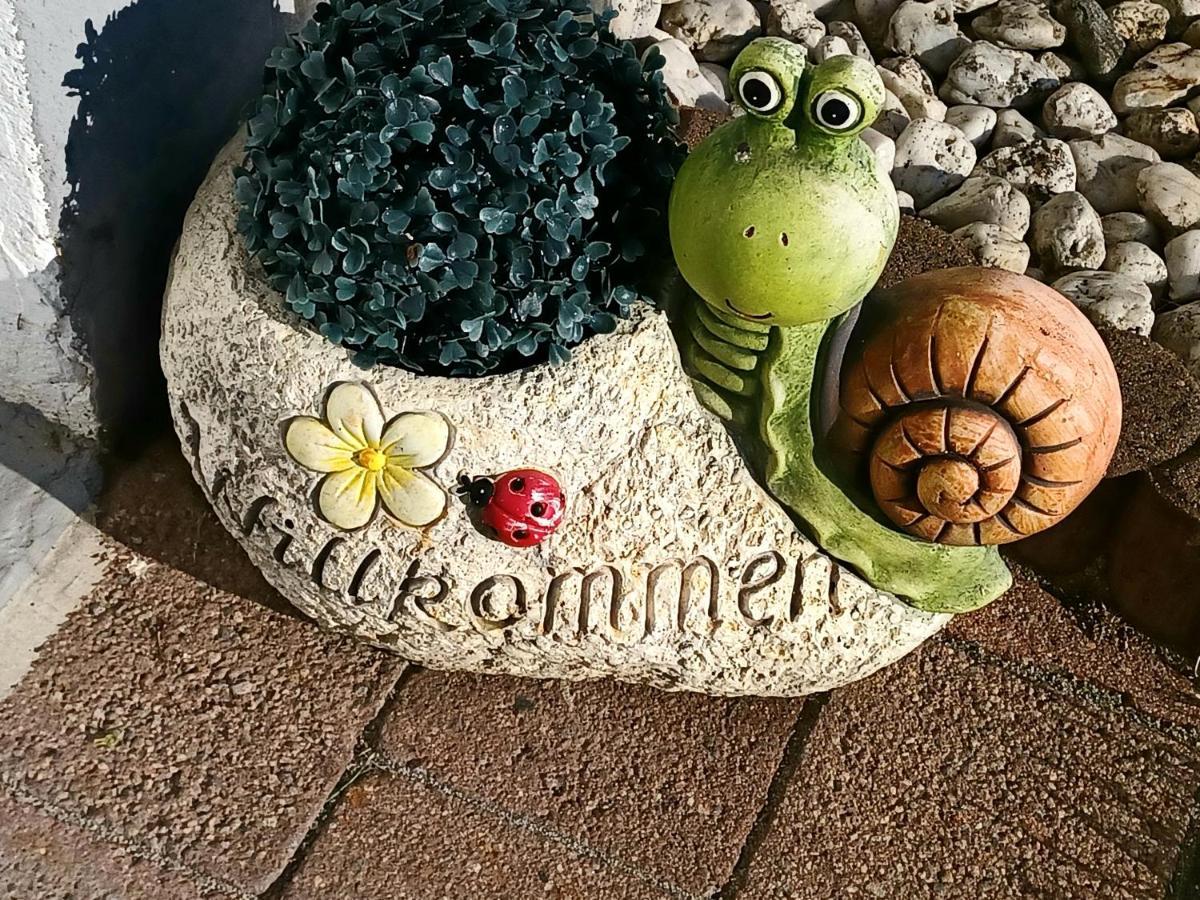 David Lorch am Rhein