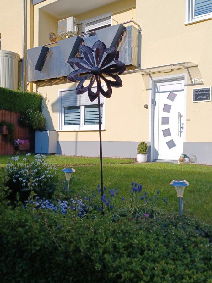 Apartment David Lorch am Rhein