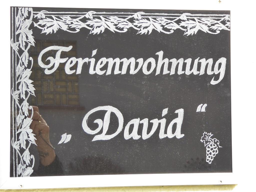 David Lorch am Rhein