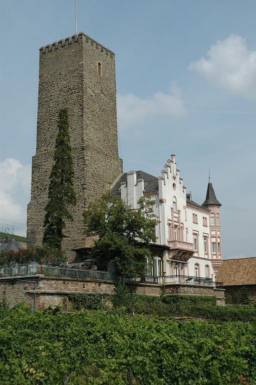 David * Lorch am Rhein