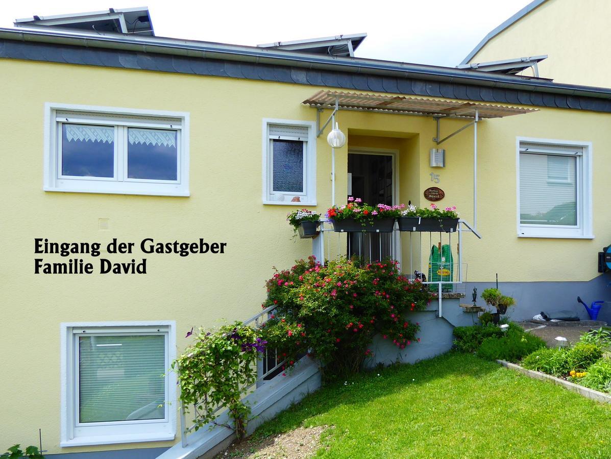 Apartment David *